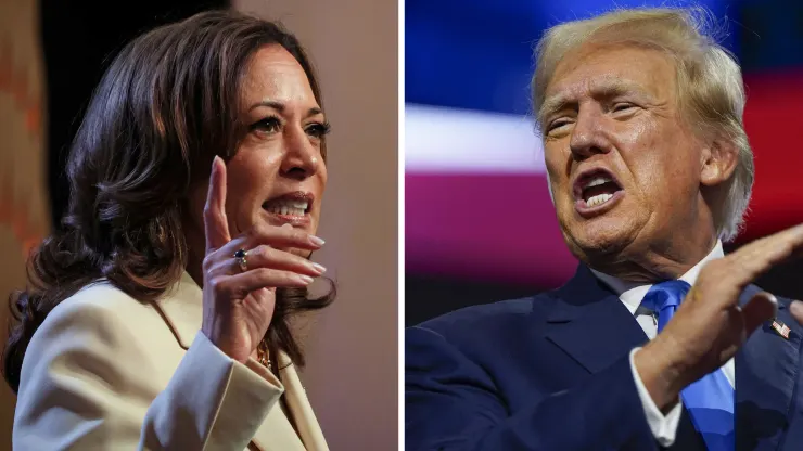 Trump Blames Harris for Stock Plunge