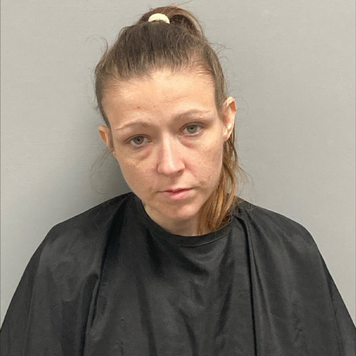 Henry County SWAT Team Executes Narcotics Search Warrant, Arrests Local Woman
