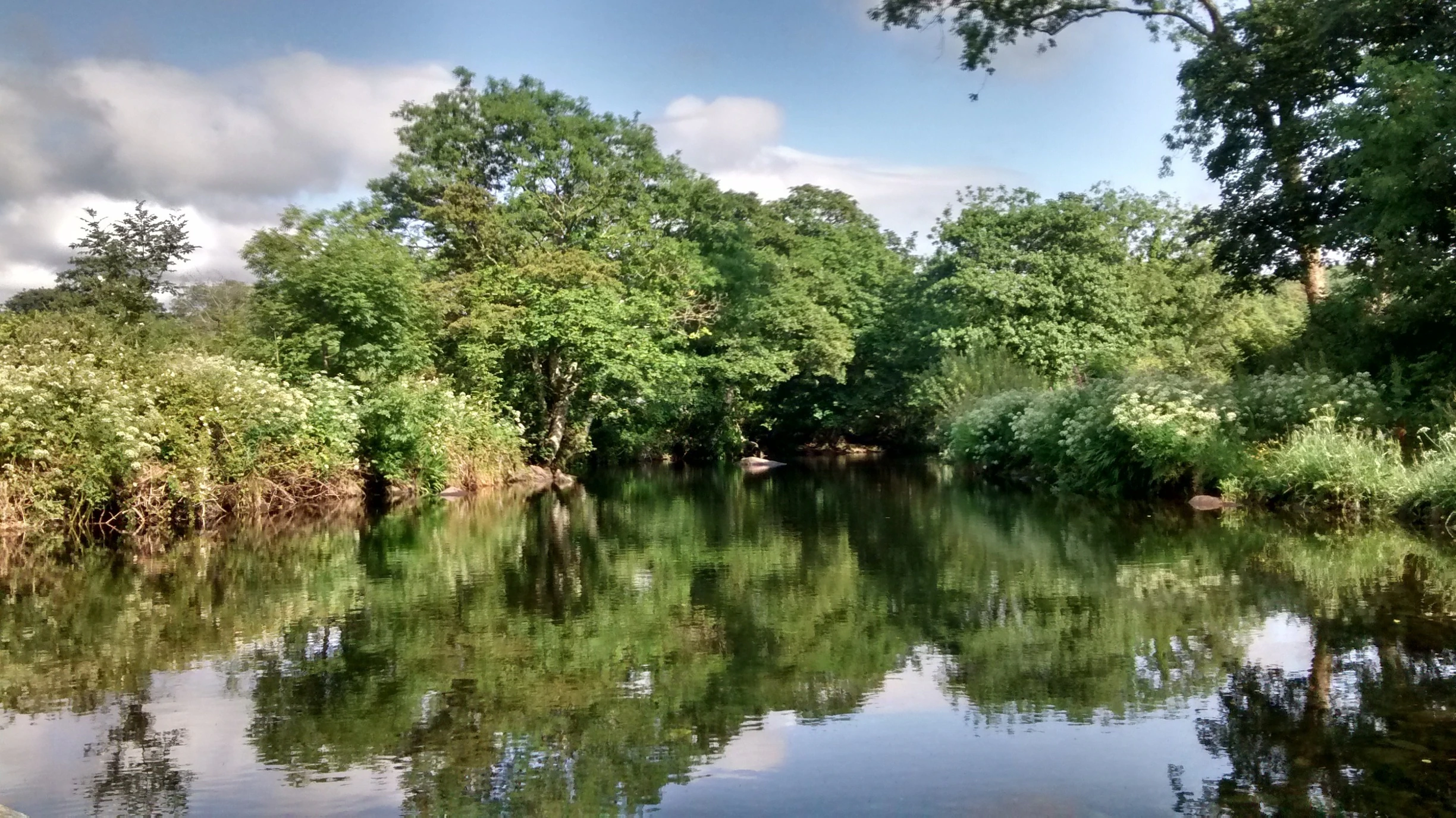 Virginia Department of Conservation and Recreation Invites Community to Discuss Mayo River State Park Master Plan