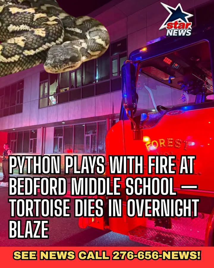 Python Plays With Fire at Bedford Middle School — Tortoise Dies in Overnight Blaze